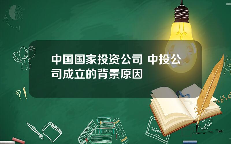 中国国家投资公司 中投公司成立的背景原因